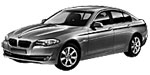 BMW F10 P20F4 Fault Code